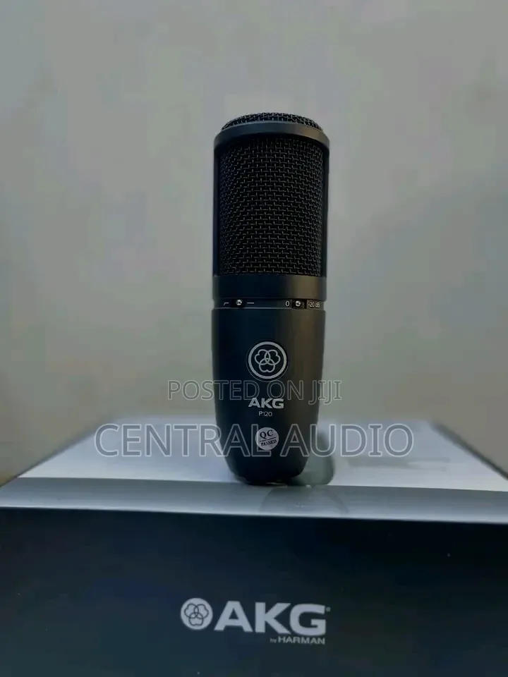 P120 Akg Condenser Microphone
