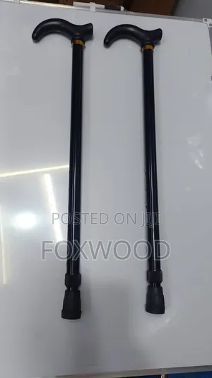Kids Walking Sticks