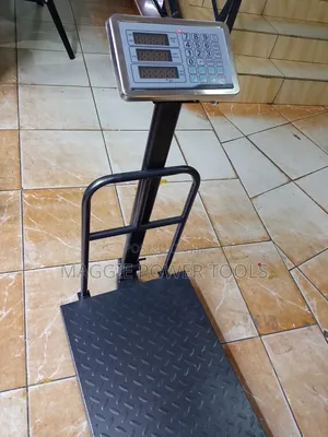 Well Performing and Professional 300kgs Weighing/300kgs Big Base