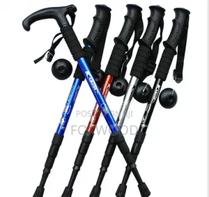 Hiking Sticks