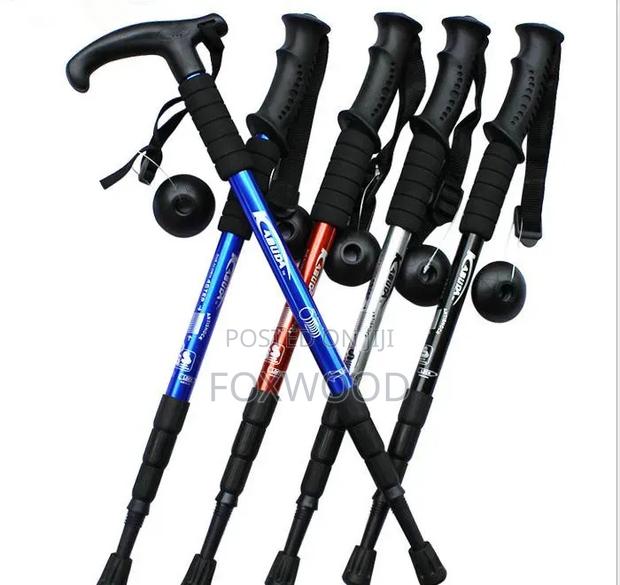 Hiking Sticks - thumbnail 3
