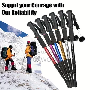 Hiking Sticks