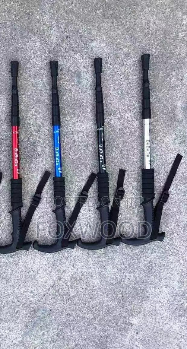 Hiking Sticks