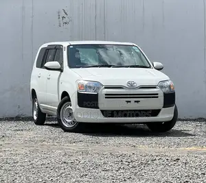 Toyota Probox 1.3 DX 2WD 2021 White