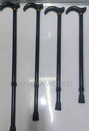 Kids Walking Sticks
