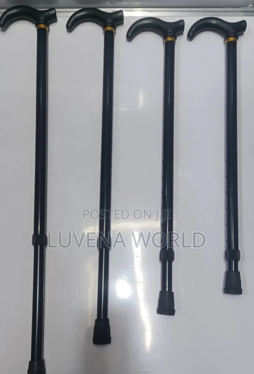 Kids Walking Sticks