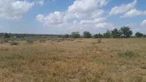 Prime Plots in Diaspora Gardens in Isinya