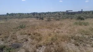 Prime Plots in Diaspora Gardens in Isinya