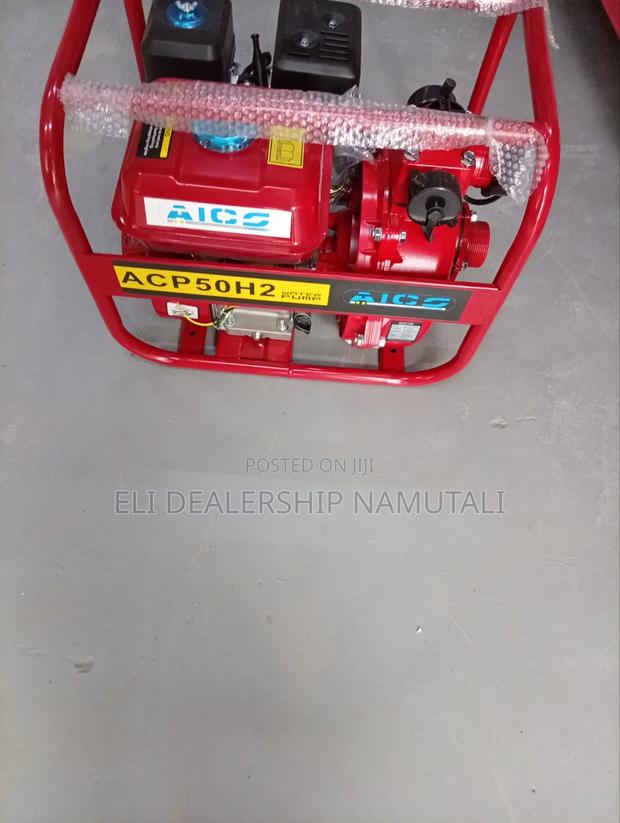 Double Outlet Water Pump High Pressure 100m Aico