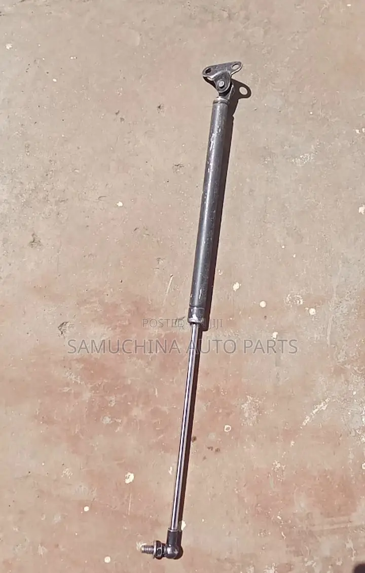 Boot Shock Land Cruiser 100 Series