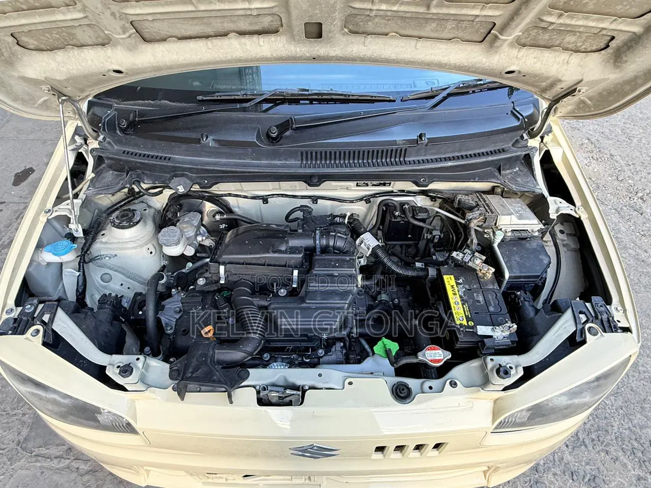 Suzuki Alto 2019 Brown