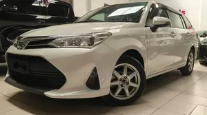 Toyota Corolla Fielder 2019 White