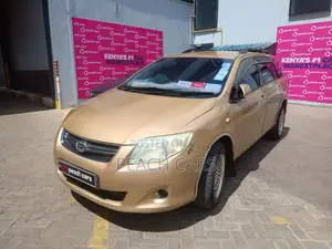 Toyota Corolla Fielder 2011 Gold