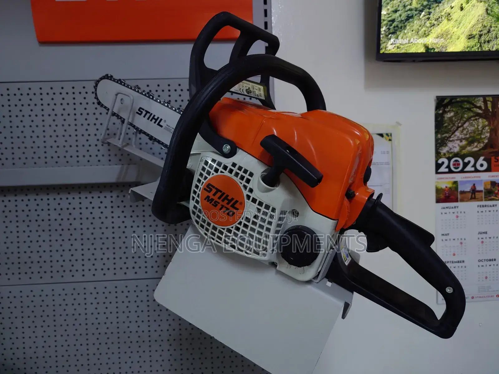 Stihl Ms170 Compact Chainsaw