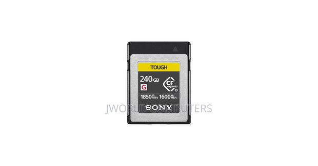 Sony 240gb XQD Card - thumbnail 2