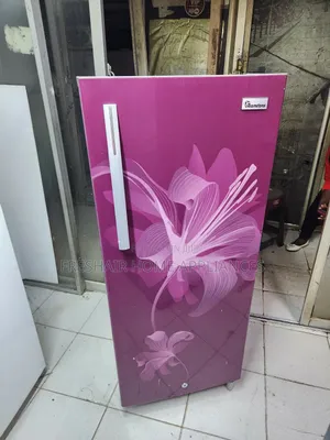 Large Single Door Fridge