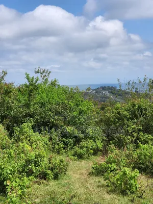 Prie 5 Acres Ngong-Kibiko