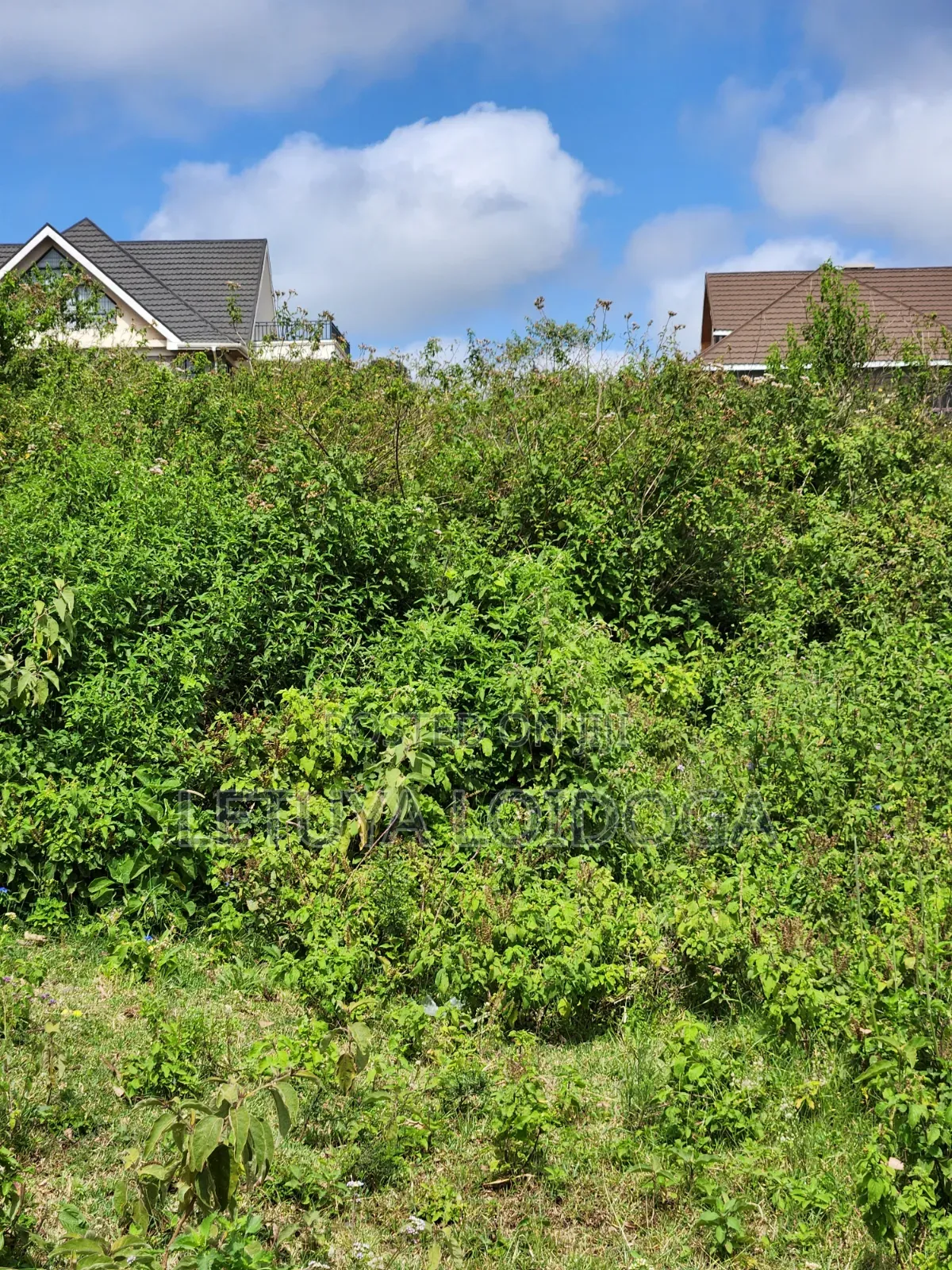 Prie 5 Acres Ngong-Kibiko
