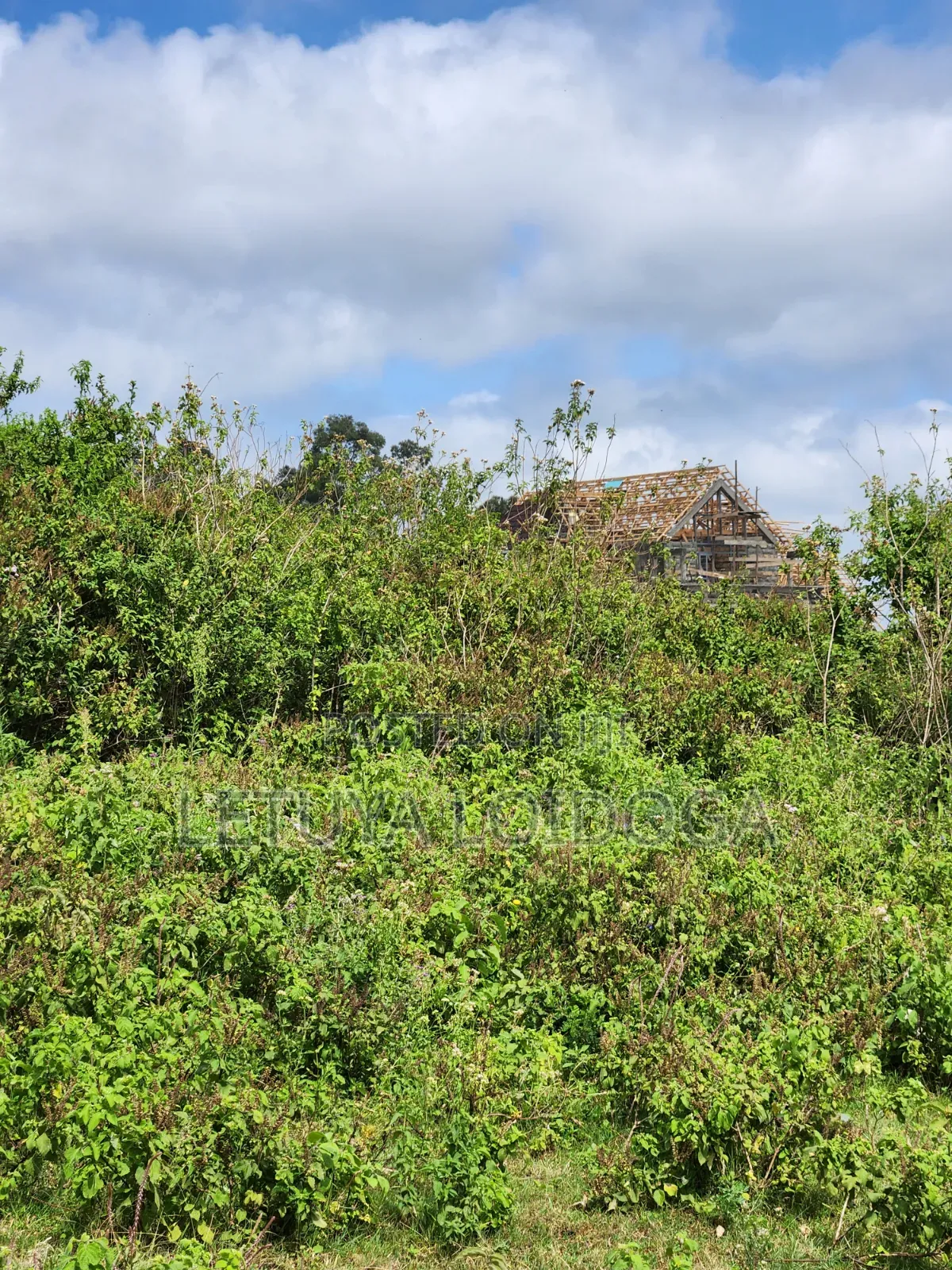 Prie 5 Acres Ngong-Kibiko