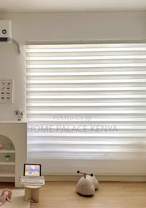 Window Blinds: Light Filtering Day and Night Roller Shades