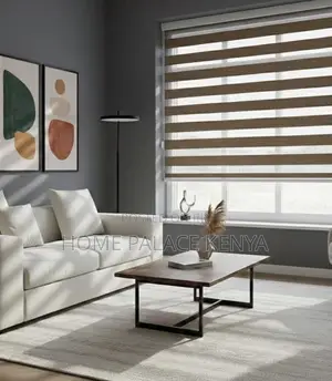 Window Blinds: Light Filtering Day and Night Roller Shades