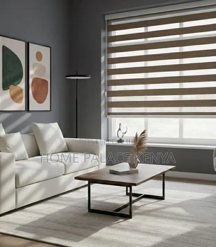 Window Blinds: Light Filtering Day and Night Roller Shades