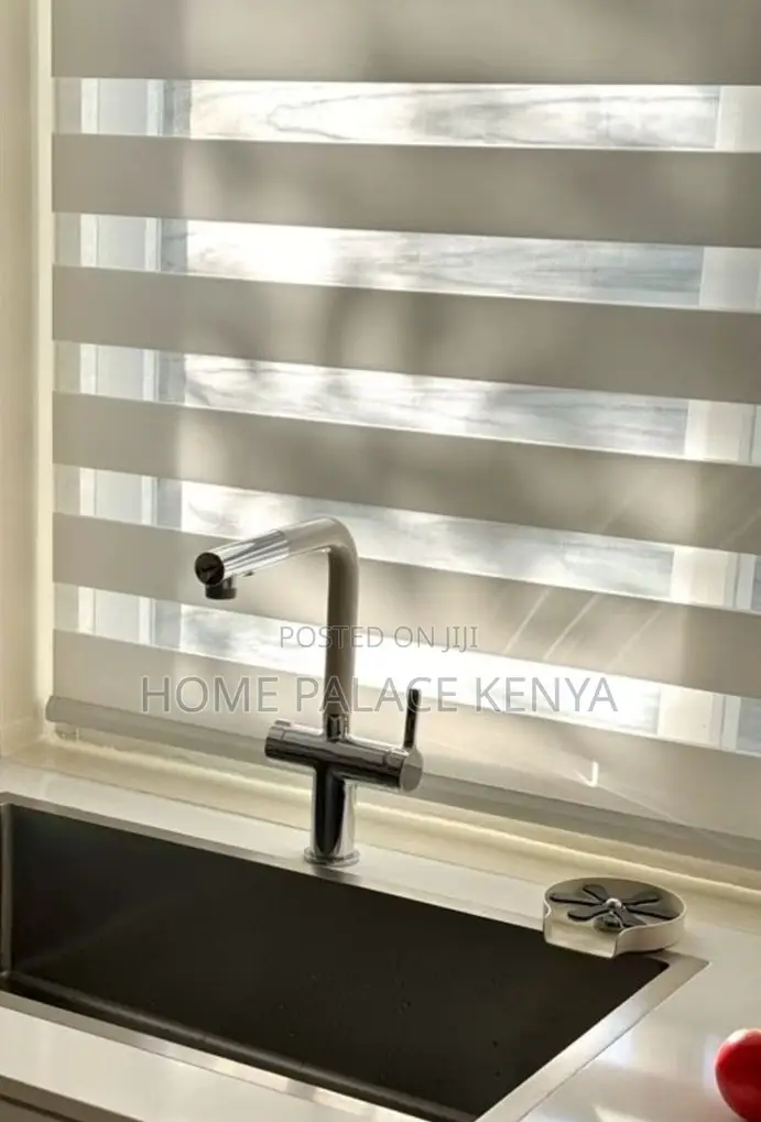 Window Blinds: Light Filtering Day and Night Roller Shades