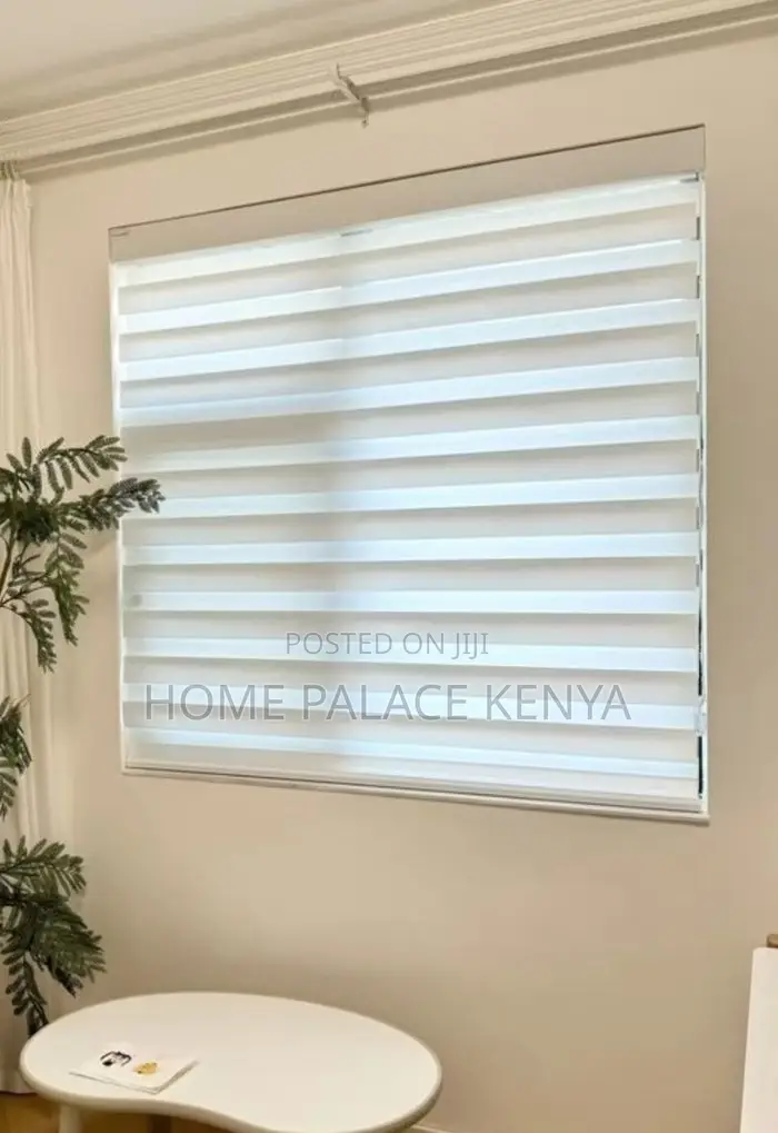 Window Blinds: Light Filtering Day and Night Roller Shades