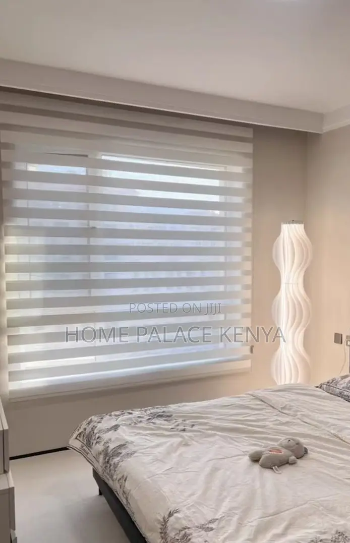 Window Blinds: Light Filtering Day and Night Roller Shades