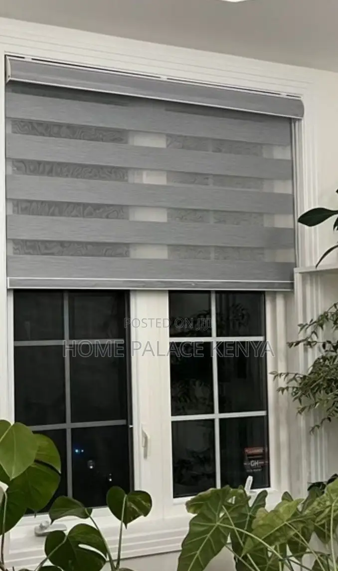 Window Blinds: Light Filtering Day and Night Roller Shades