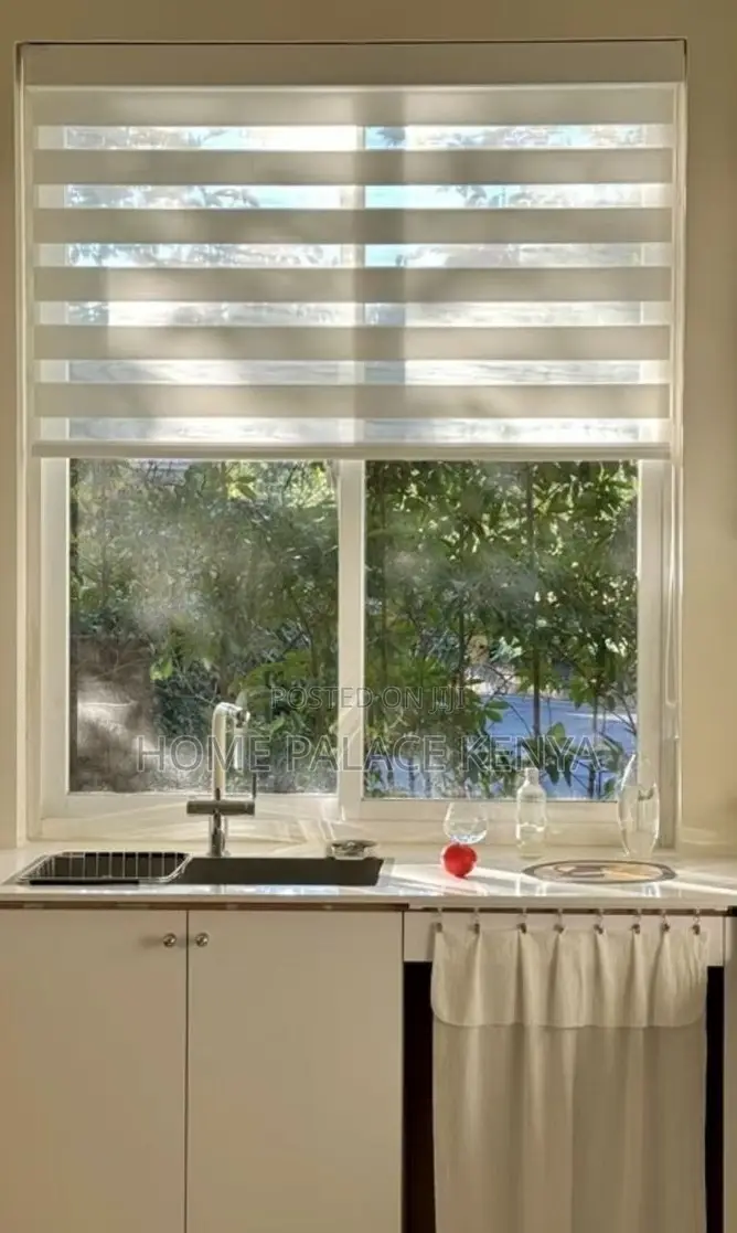Window Blinds: Light Filtering Day and Night Roller Shades