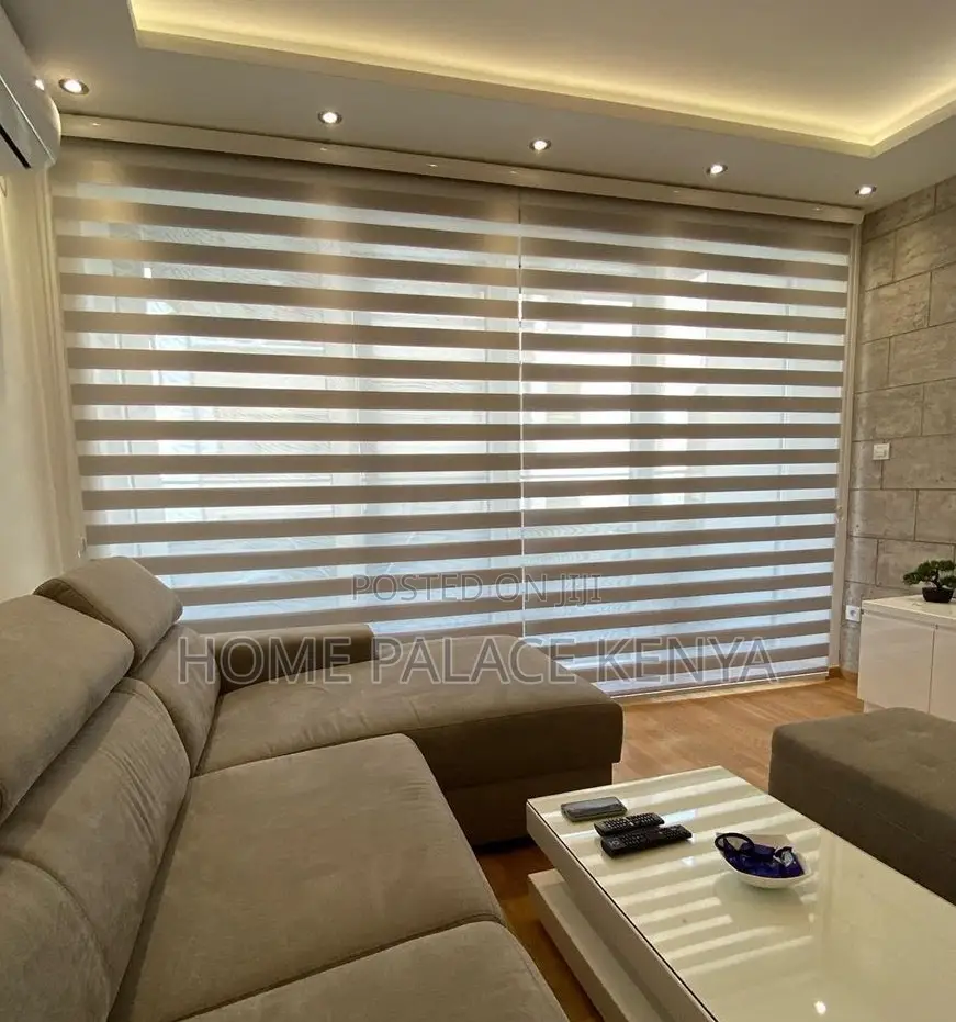 Window Blinds: Light Filtering Day and Night Roller Shades