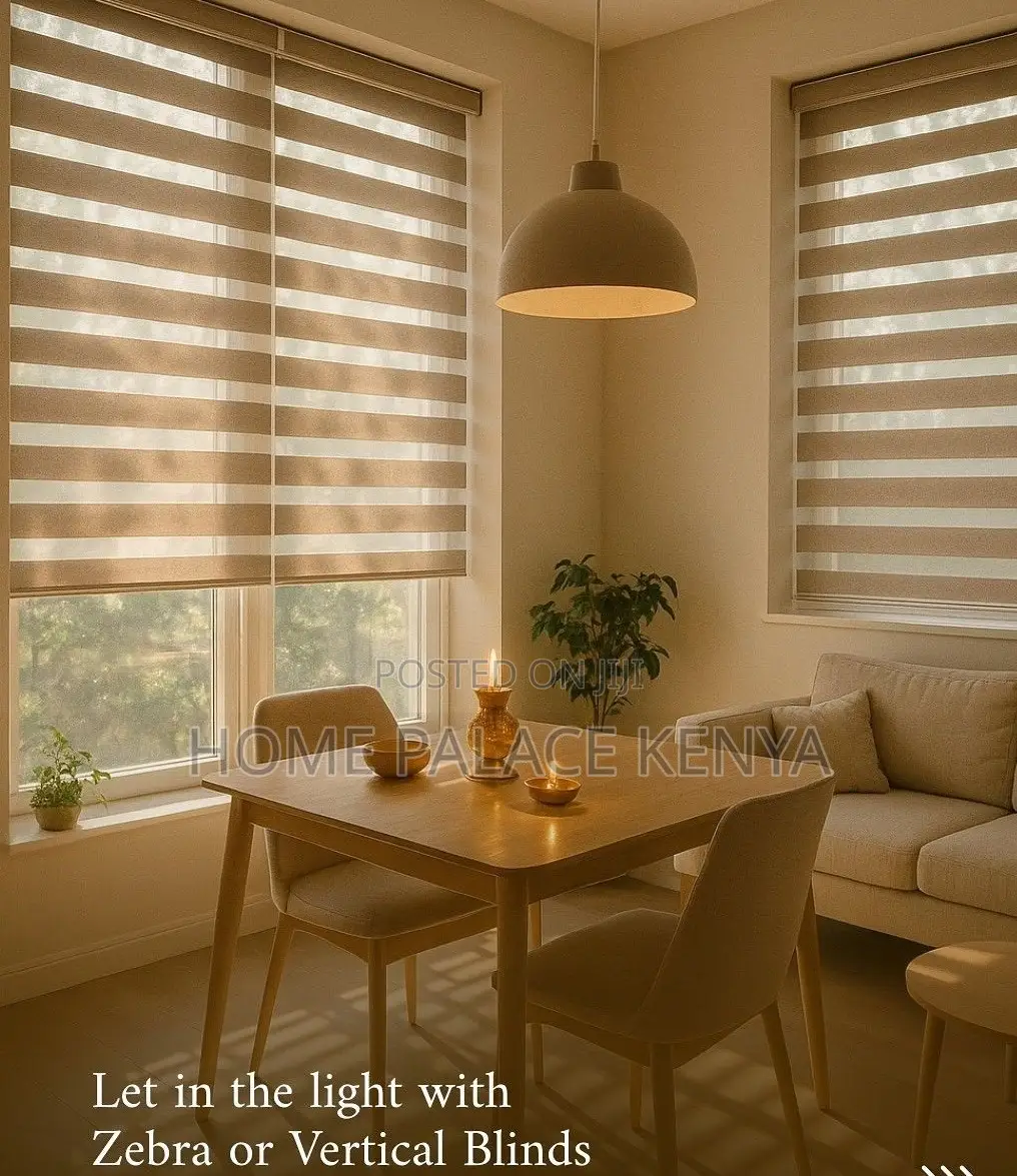Window Blinds: Light Filtering Day and Night Roller Shades