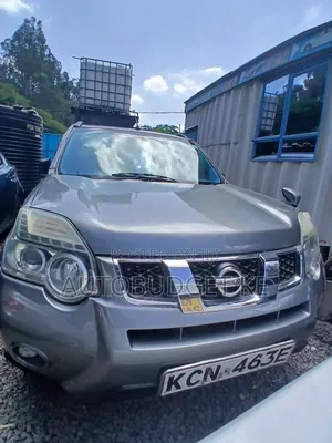Nissan X-Trail 2.0 Petrol XE 2009 Gray