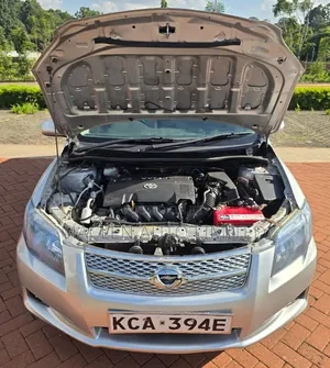 Toyota Axio 2009 Silver