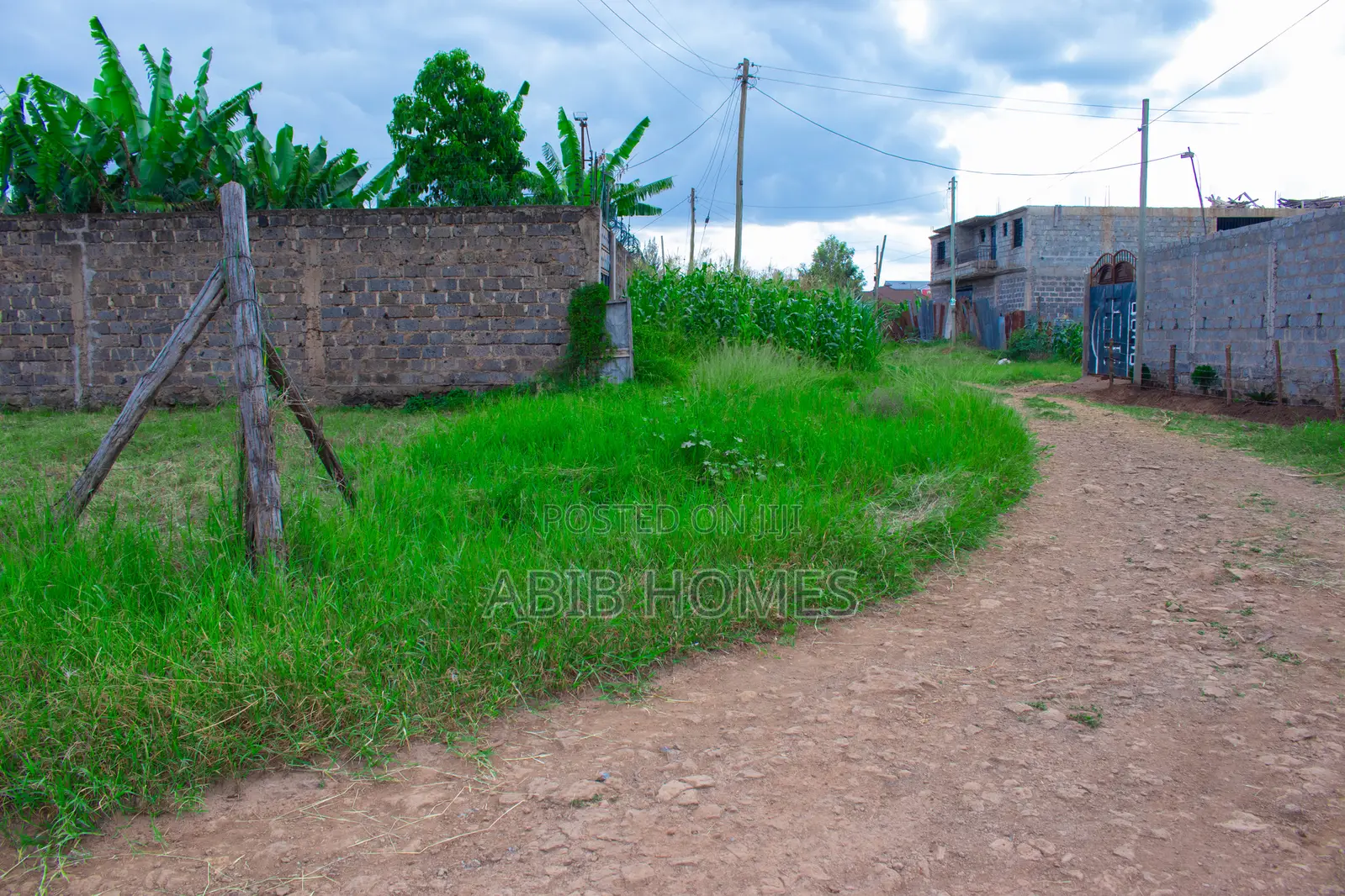 Affordable 50x100 Plot for Sale in Ngoigwa