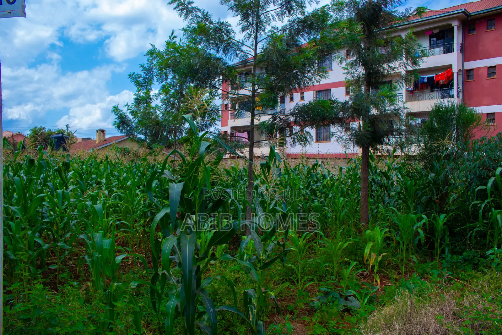 Developed Commercial 50x100 Plot for Sale in Ngoigwa