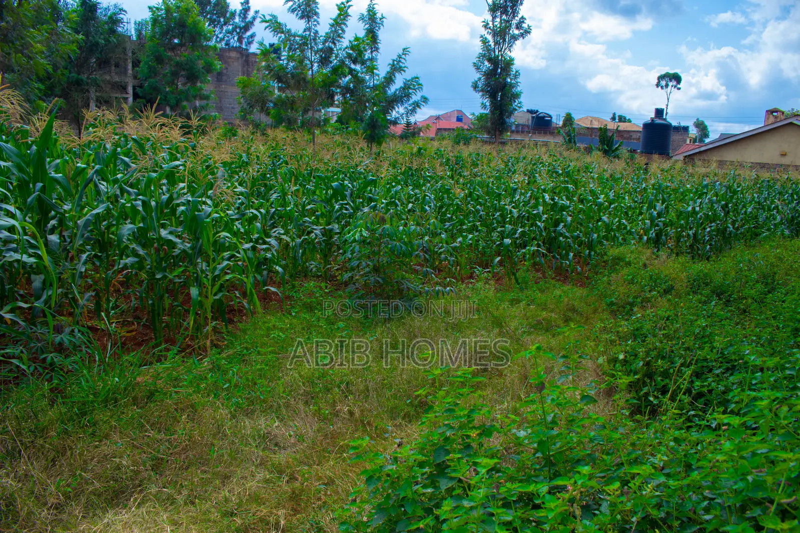 50x100 Commercial Plot for Sale in Ngoigwa Near Thika Road
