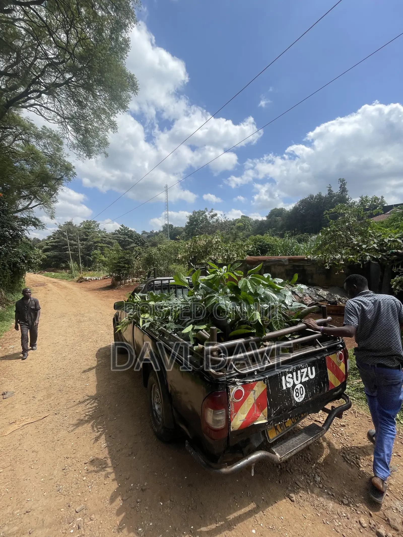 Pickup Transport Ruaka
