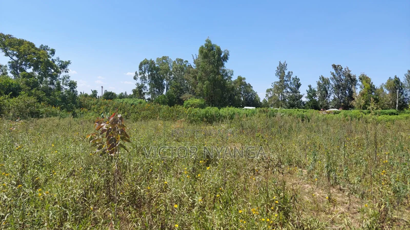 Land on Sale Direct Transfer