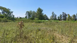 Land on Sale Direct Transfer