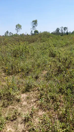 Land on Sale Direct Transfer