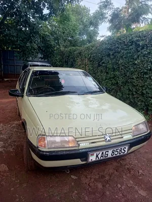 Peugeot 405 1996 Beige