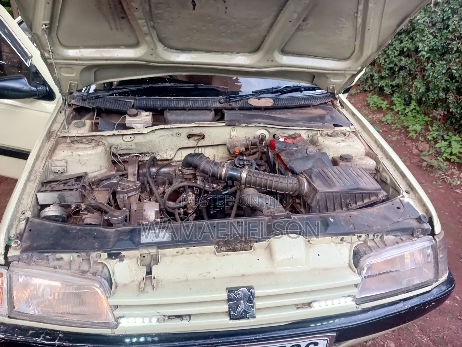 Peugeot 405 1996 Beige
