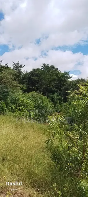 Prime 1⁄2 Acre Beachside Plot for Sale in Aldina