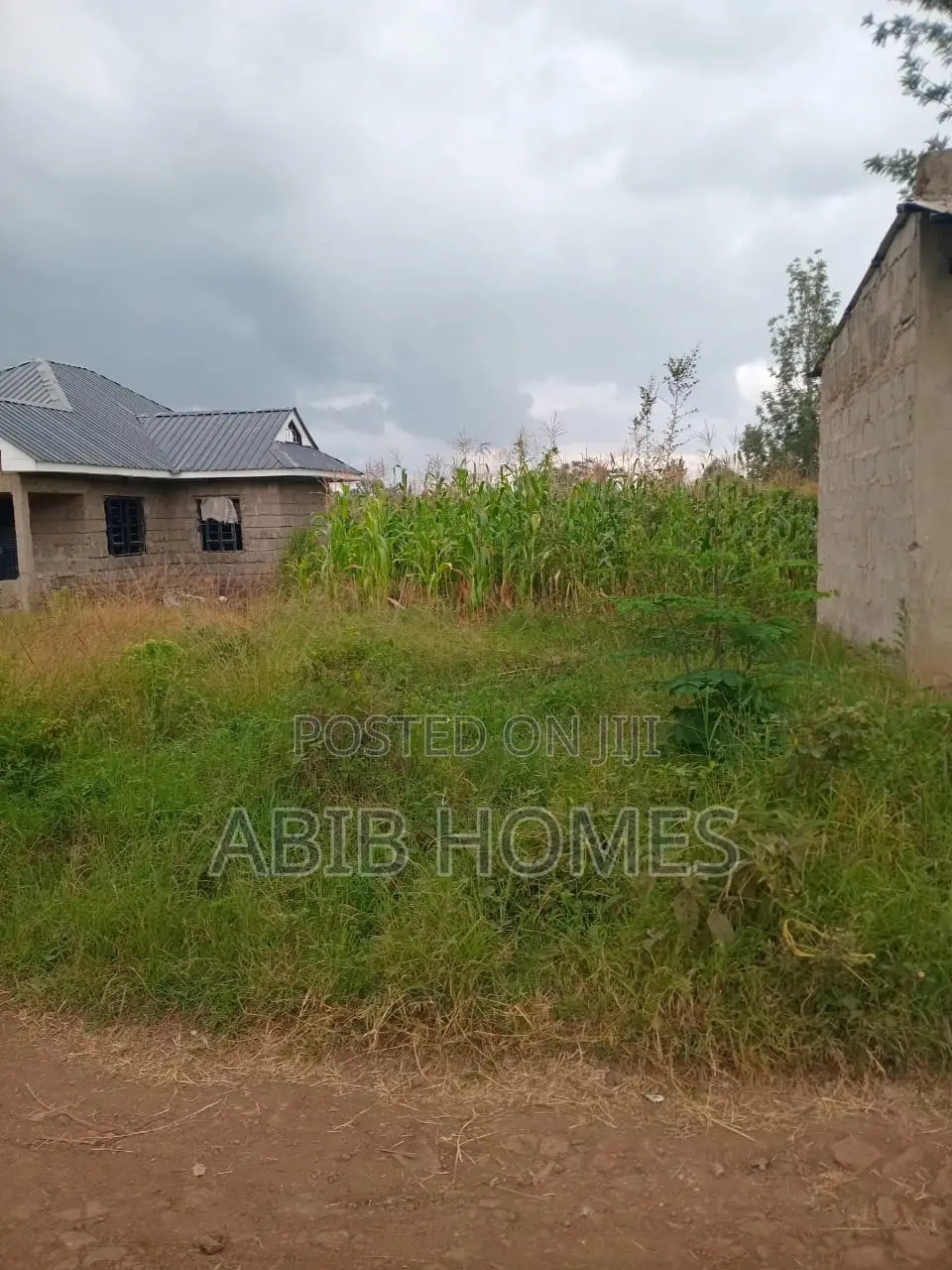 Prime 50x100 Plot for Sale in Kenol With 1 Bedroom House