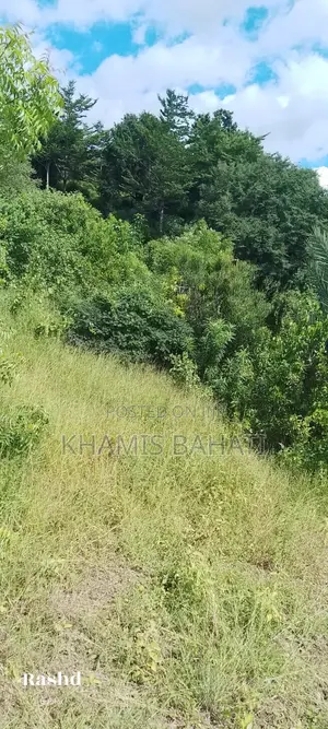 Prime 1⁄2 Acre Beachside Plot for Sale in Aldina