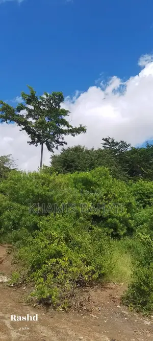 Prime 1⁄2 Acre Beachside Plot for Sale in Aldina