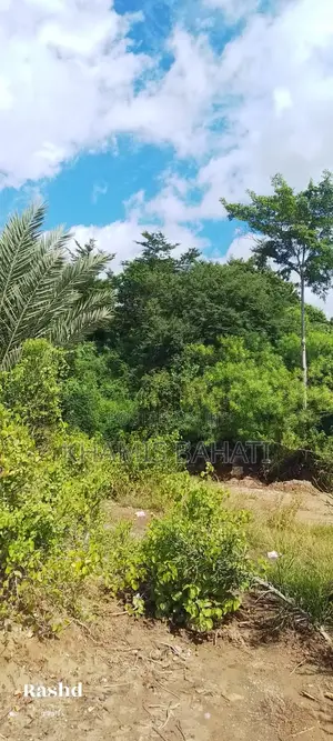 Prime 1⁄2 Acre Beachside Plot for Sale in Aldina