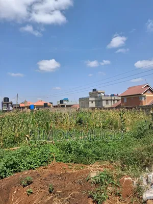 Ruiru Kimbo Matangi Prime 40x60 Ready Title